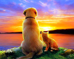 Paint by Numbers Kit Dog and Cat Sunset