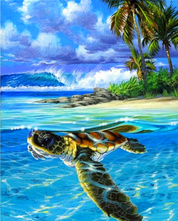 Paint by Numbers Kit Drifting Turtle
