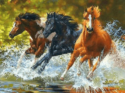 Paint by Numbers Kit Horses running