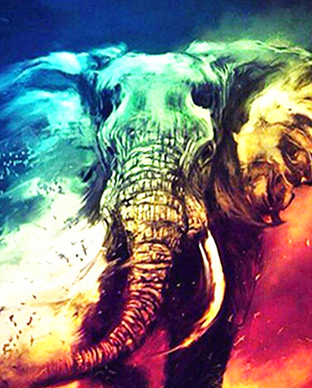 Paint by Numbers Kit Abstract Colorful Elephant
