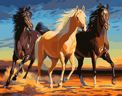 Paint by Numbers Kit Horses