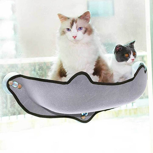 Suction cup comfortable cat bed