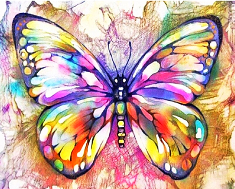 Paint by Numbers Kit Colorful Butterfly