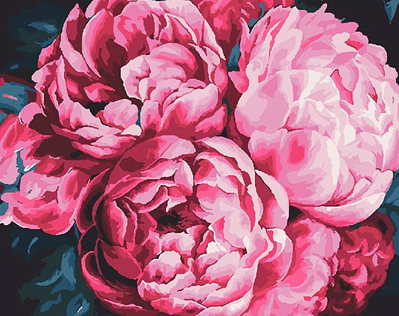 Paint by Numbers Kit Flowers Bright Peonies