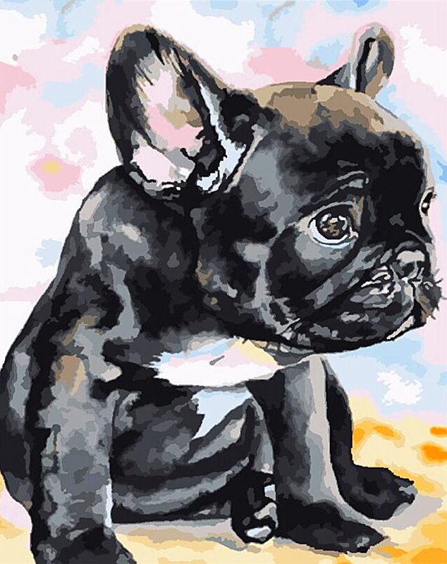 Paint by Numbers Kit Black Puppy Dog