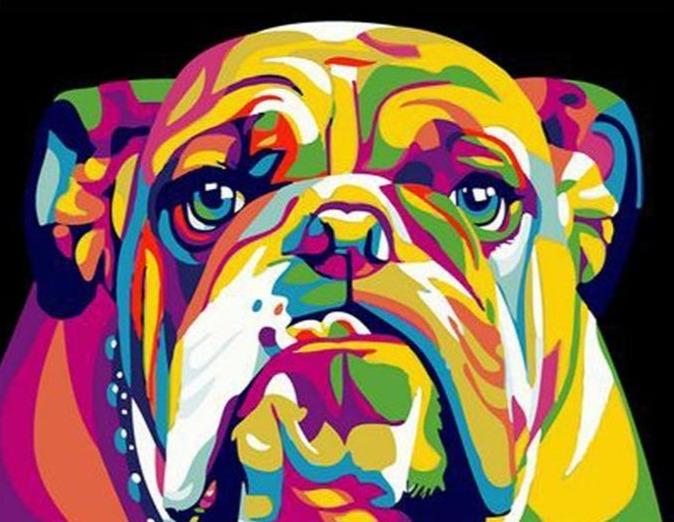 Paint by Numbers Kit Colorful Bull Dog